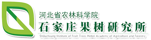 Shandong Xingyu Mechanical Technology Co., Ltd